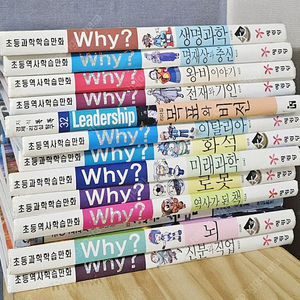 why책 78권