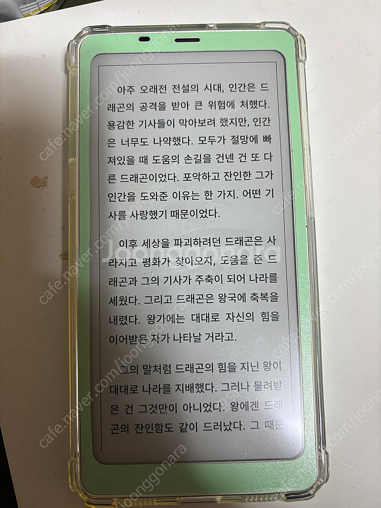 오닉스 팔마--0