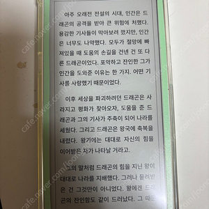 오닉스 팔마