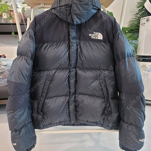 L 노스페이스 NORTHFACE GORE 고어드라이로프트