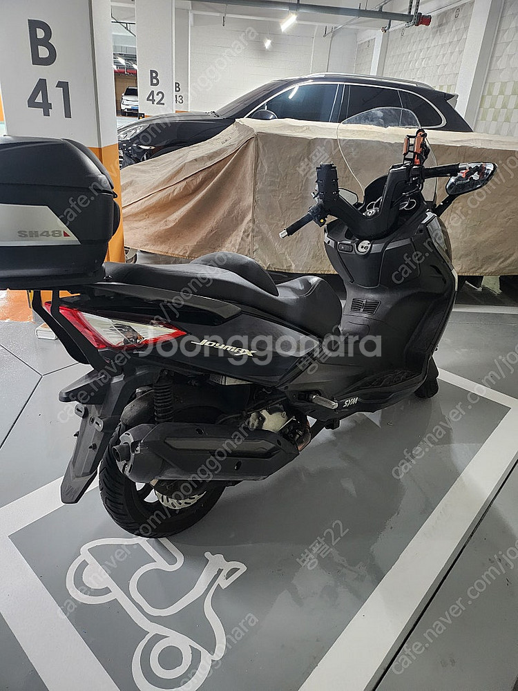 Joy max 300cc abs--1