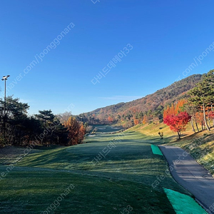 캘러웨이 스틸아이언 세트 입문자 가성비 초보용 팝니다.