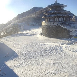 무주덕유산리조트 가족호텔2월 8일 실버 숙박권 양도합니다