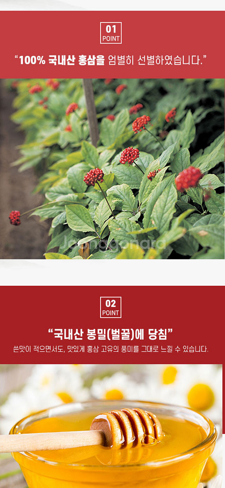 선물세트 고려 홍삼정과--6