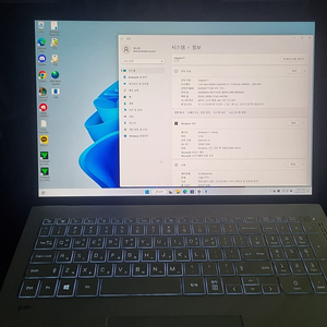 LG gram 17 윈도우10 i7