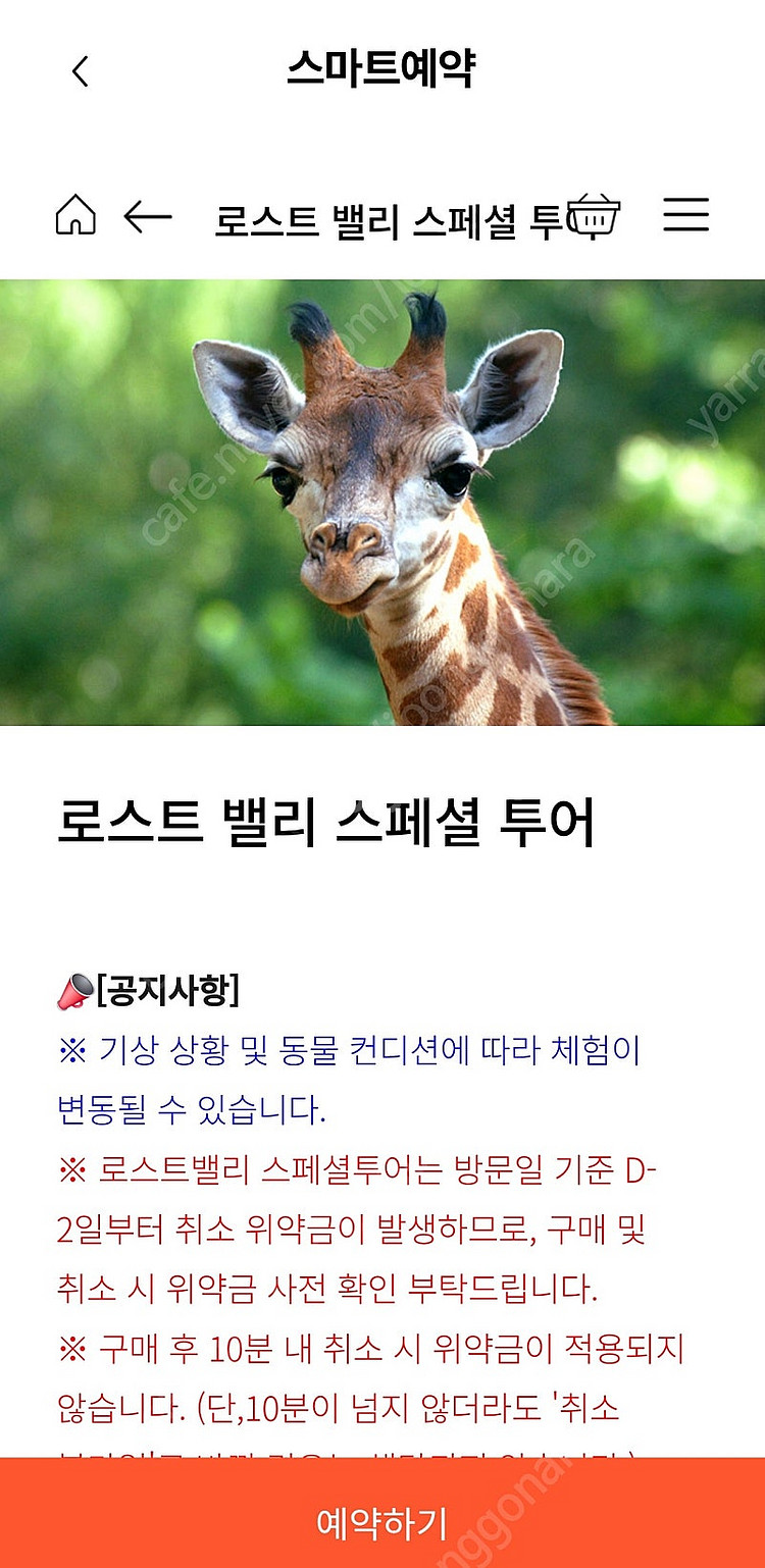[삽니다] 29일 로스트벨리 스페셜투어--0