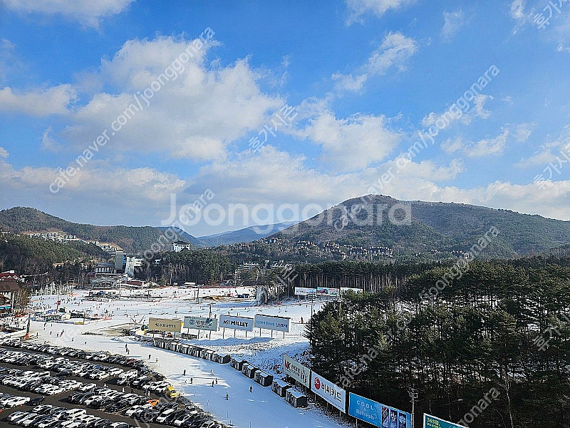 오늘, 1/27 (특가예약) 스키리조트 > 평창한화/ ...--0