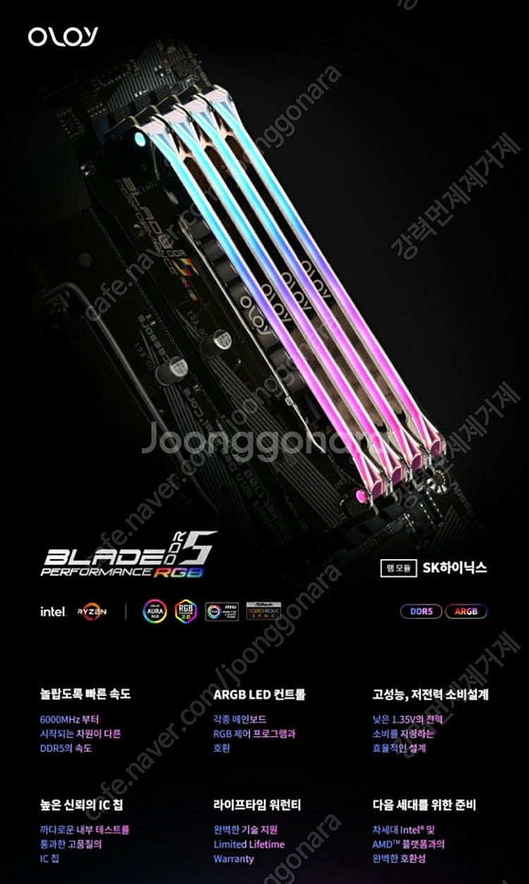 올로와이 램 OLOy DDR5 6000 BLADE RG...--2