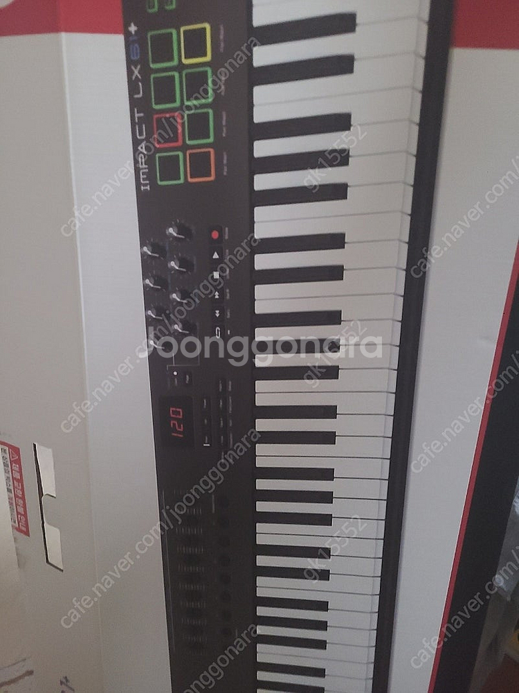 NEKTAR IMPACT LX61+(넥타 임팩트 LX6...--0