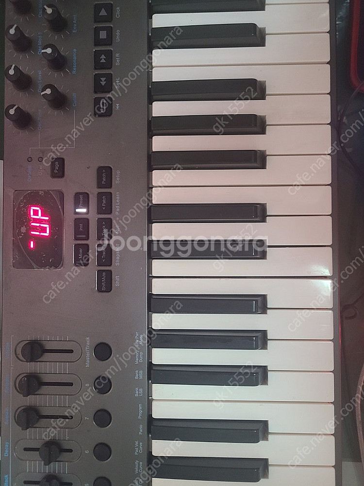 NEKTAR IMPACT LX61+(넥타 임팩트 LX6...--1