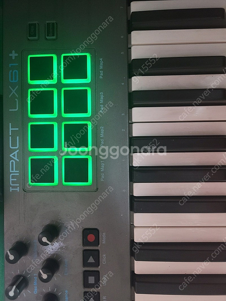 NEKTAR IMPACT LX61+(넥타 임팩트 LX6...--2