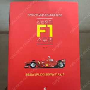 김남호 f1 스토리