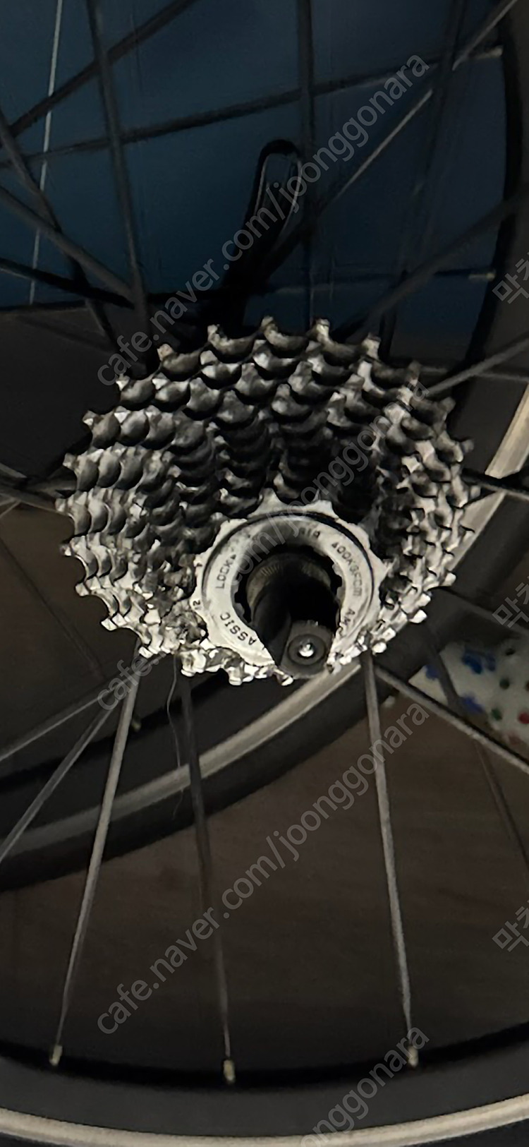 벨로시티 451 휠셋--1