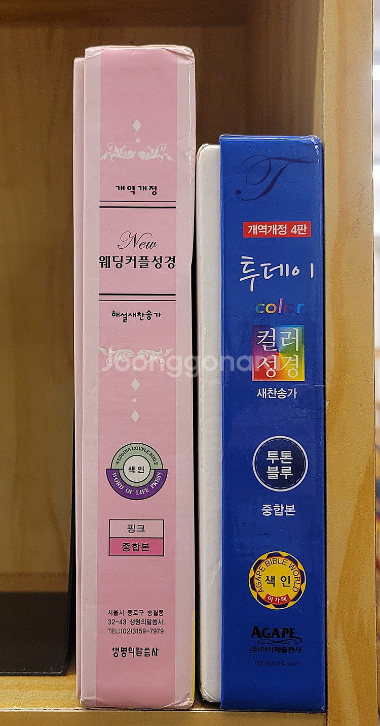 2666 도반 사랑은 폭풍처럼. 소설 풍신수길 우르비캉...--5