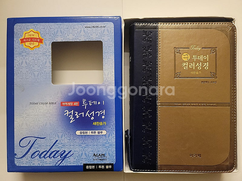 2666 도반 사랑은 폭풍처럼. 소설 풍신수길 우르비캉...--6