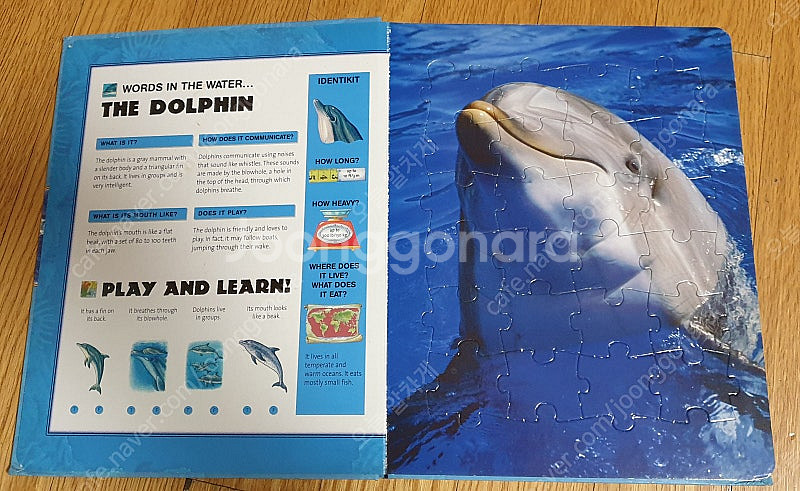 직소퍼즐책 오션(jigsaw puzzles 6 anim...--2