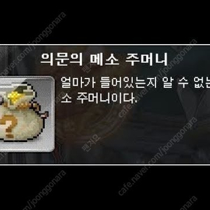 루나메소 11억 팝니다