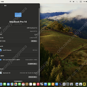 [팝니다] 맥북프로 14인치 M3 pro 칩, 램 18