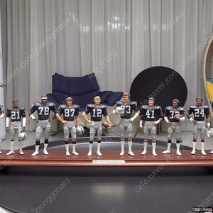 댄버리 민트 NFL 1976 오클랜드 레이더스 팀 피규어 (Danbury Mint The 1976 Oakland Raiders)