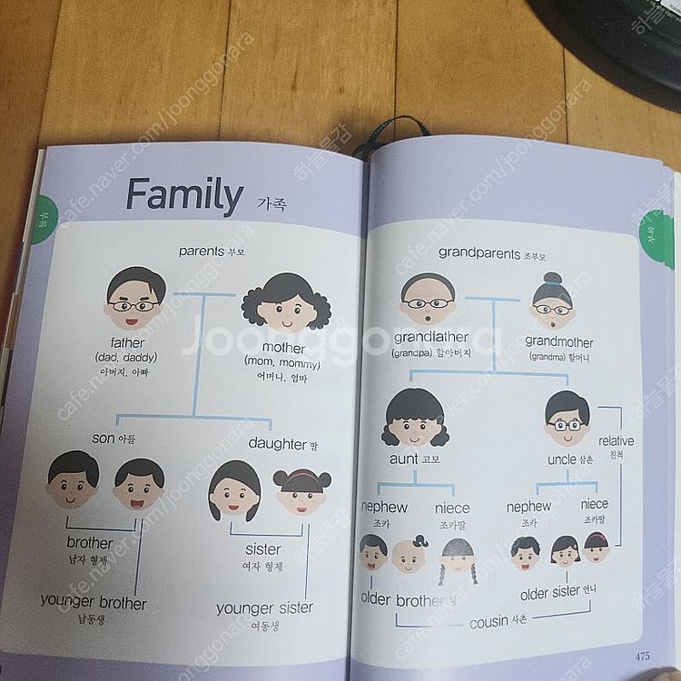 세이펜 세이글로브(말하는 지구본),--2