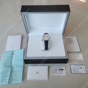 IWC 세븐데이즈 5007 부엉이 팝니다