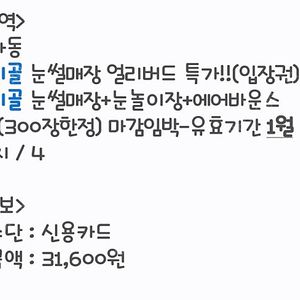 초리골 눈썰매장