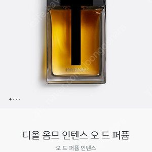 디올 옴므 인텐스 100ml taster