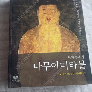 나무아미타불 여의주의 왕 정현스님 주세규