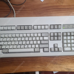 ibm model m 메틸 라벨 팝니다