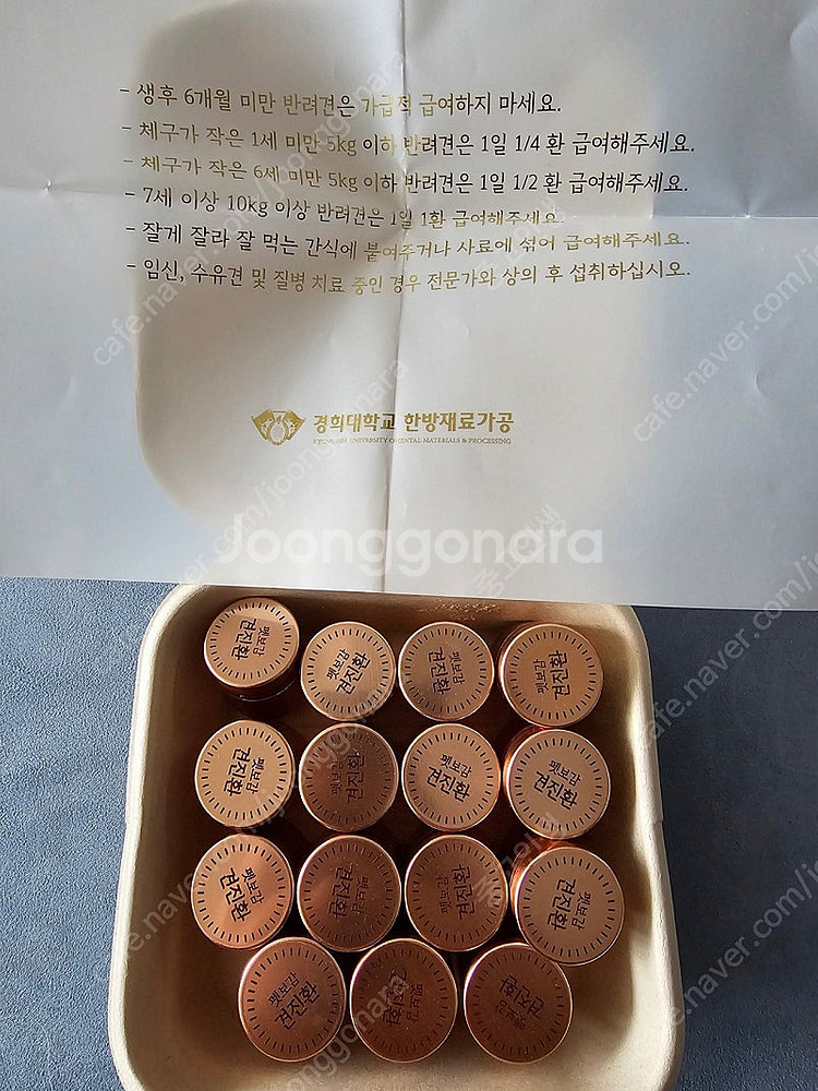 펫보감 견진환--0