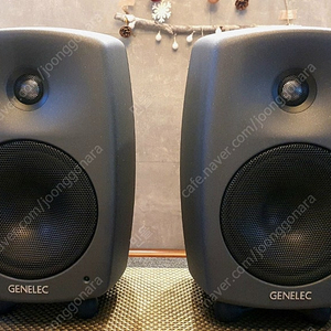 제네렉 GENELEC 8030C