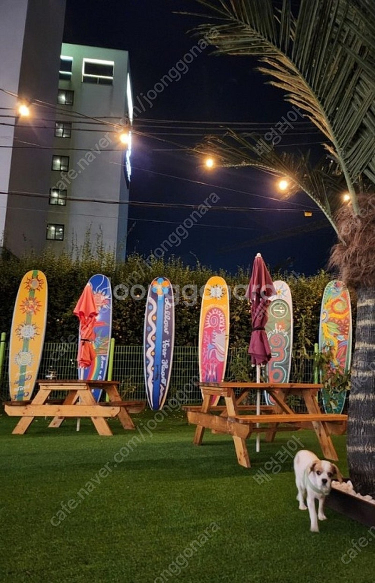 멍엔서프(오늘) 애견동반펜션 양도합니다--3
