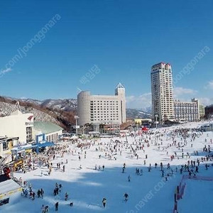 휘닉스파크 시즌권 구매합니다.