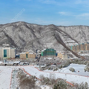 오늘 소노펠리체 급가실분!!