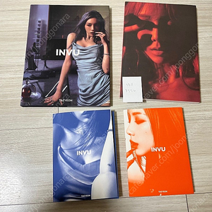 태연 envy 앨범, purpose 디럭스 앨범, invu blue, orange 앨범