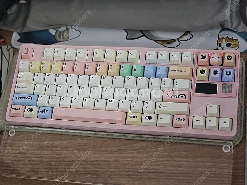 qk80mk2 핑크 wk--0