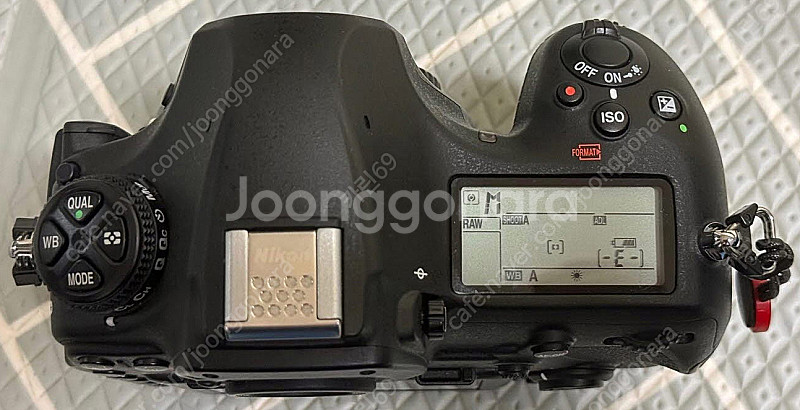 니콘 D850 BODY--3