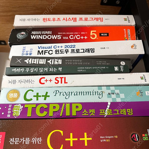 전문가를 위한 c++ 개정 5판