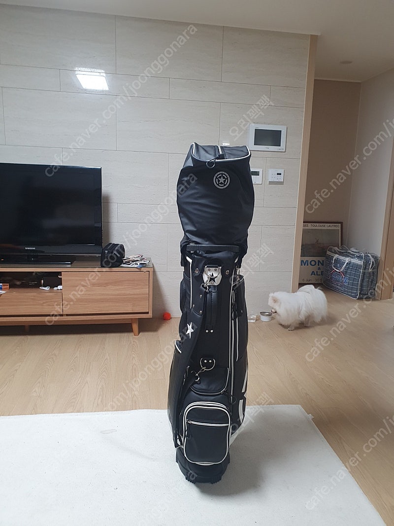 락스타스탠드백