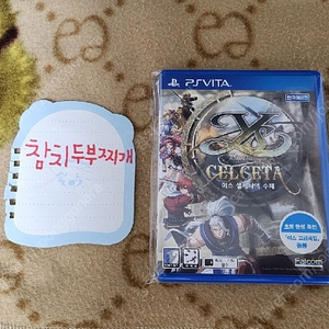 [대구] VITA 이스 셀세타의 수해