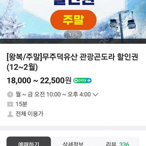 무주 곤도라/29일 예약권 5인