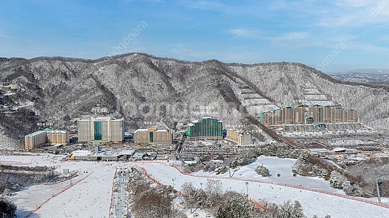(오늘급가실분) 비발디파크 가실분!!--0