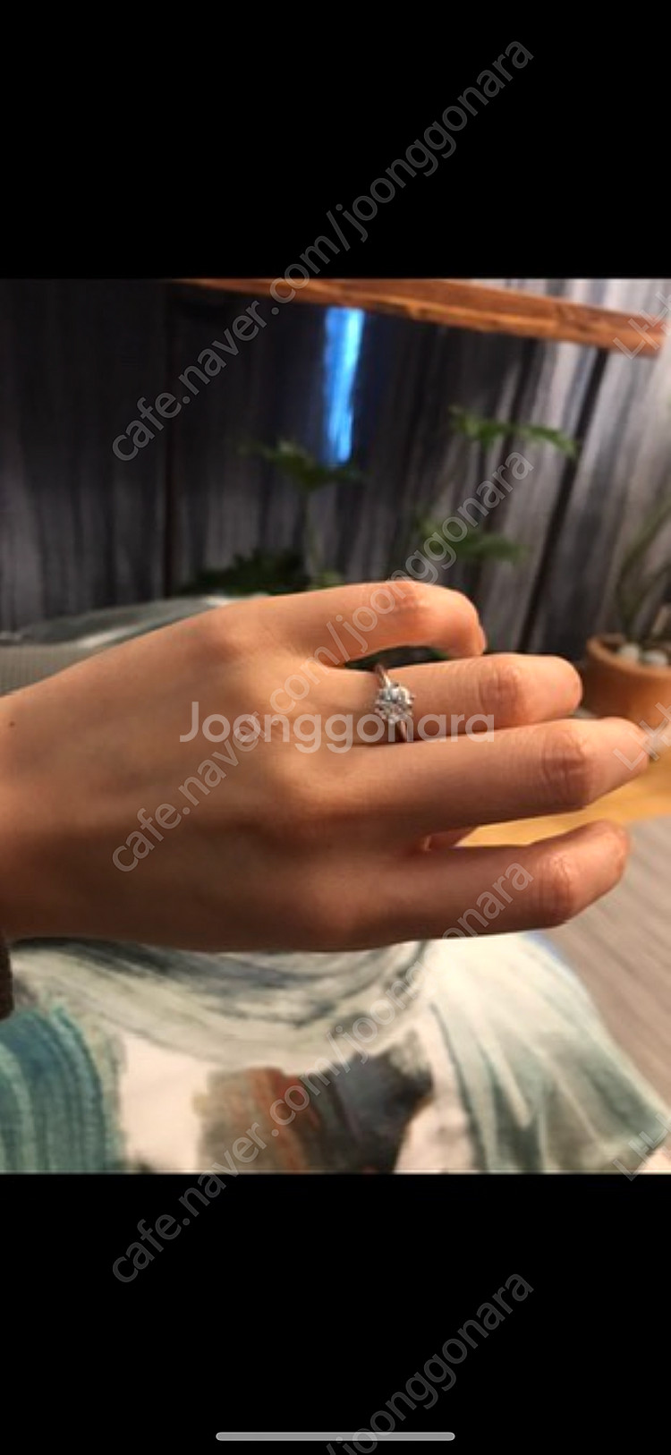 티파니 반지 정품--3