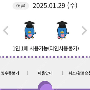 1월 29일 롯데월드 매직패스 5회권