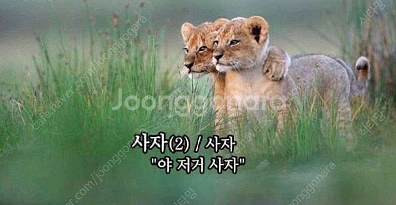 ps4/플스4 중고 타이틀 팝니다--0