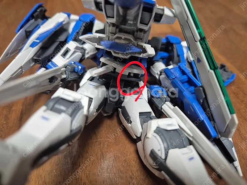 MGSD 가조 RG 가조 SD 가조 팝니다 발바토스 프...--6