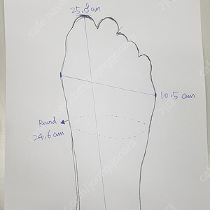 스타핀 (모노핀 + 바이핀+ 하드케이스) 인도어 경기용