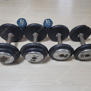 아령 덤벨 8kg2개 5kg2개 1.5kg2개 -총 29kg