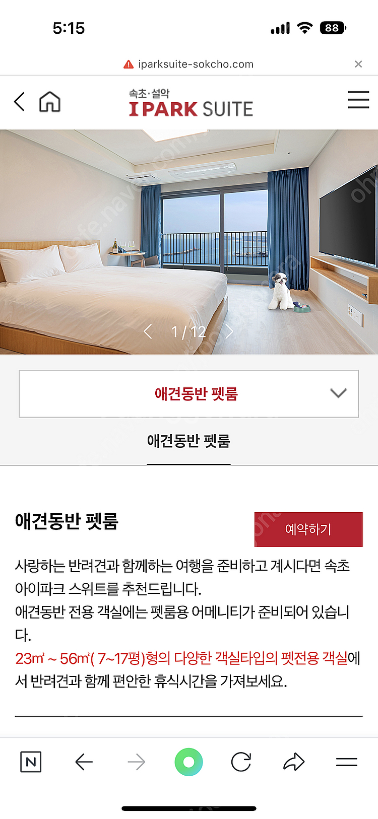 속초아이파크스위트(팻룸)--0
