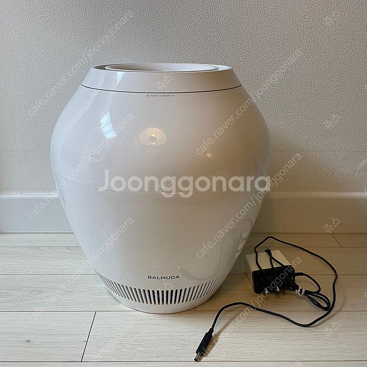 발뮤다 가습기--0